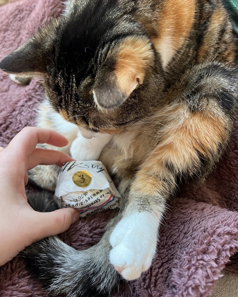 ExAvocatine's tweet photo. Jour 3 : Bleu de Laqueuille

C’est une diablerie.
Littéralement le meilleur fromage que j’ai mangé de ma vie. 

MANDIEU https://t.co/enZPhDWO92