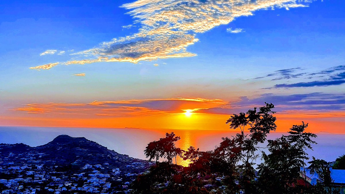 francesca4967's tweet image. Non sapendo quando l’alba possa venire
lascio aperta ogni porta,
che abbia ali come un uccello
oppure onde, come spiaggia
E. Dikinson

#PoesiePerLaSera #VentagliDiParole 
#3dicembre