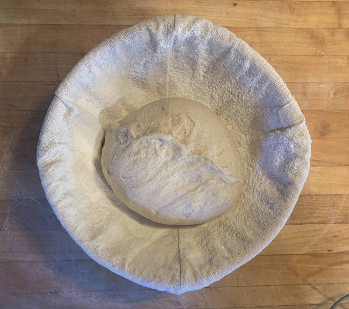 Done with my folds.  Time to rise…#sourdough