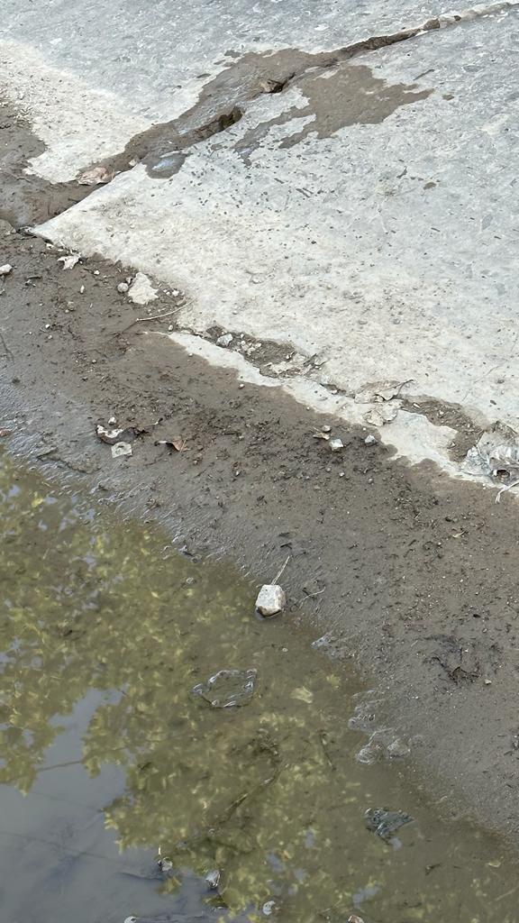 DeTurrisFlor's tweet photo. Así está la calle residencial Carlos Croce en Banfield, localidad de Lomas de Zamora, a poco tiempo que la municipalidad permitiera el tránsito de colectivos: rota, sucia e insegura. https://t.co/j6qcjXgiCg