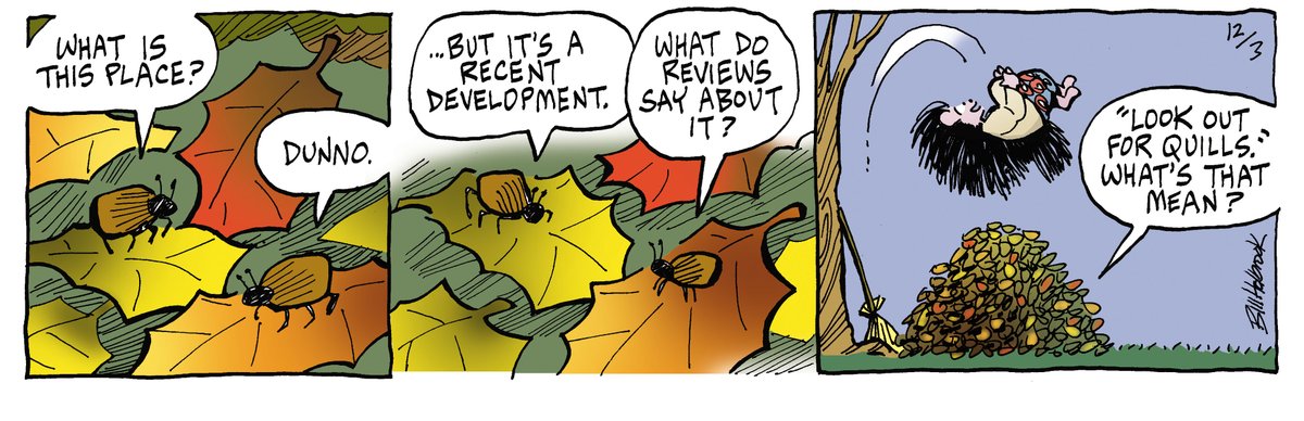 catherine_aura's tweet image. kevinandkell.com/2022/kk1203.ht…
#RakingLeaves 
#LeafPile