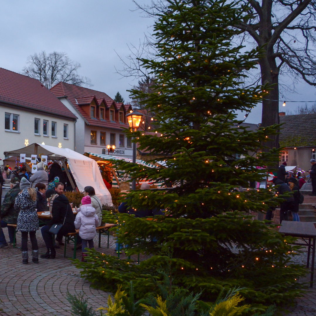 stadt_teupitz's tweet photo. Wer kann helfen? Wer hat noch Weihnachtsschmuck übrig und kann es unseren 5 Weihnachtswichteln morgen (Sonntag) zwischen 10 und 11 Uhr vorbei bringen? Der Baum ist groß...🎄 Wir haben bereits rote und goldene Kugeln. Strohsterne wären auch schön. Kugeln bitte nicht aus Glas. https://t.co/pnPckW6ivo