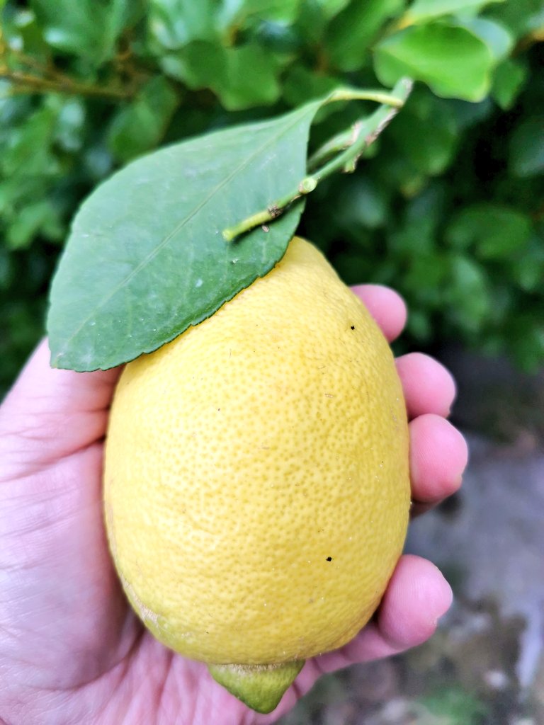 Katia Valadeau tweet media