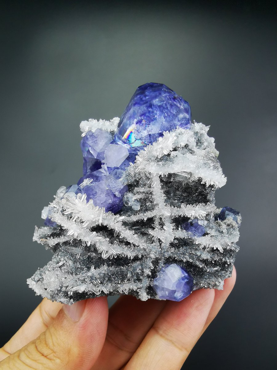 GeologyTime's tweet photo. Amazing blue fluorite with quartz crystal ~ Kengzaikou Fujian

Photo: https://t.co/NWkPr1pHsd

#minerals https://t.co/7XfldksCRS