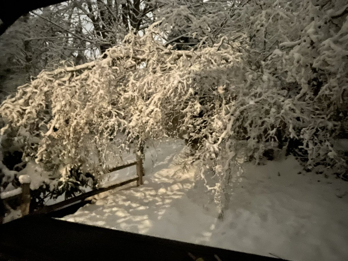 firedancer_168's tweet photo. @KSeattleWeather Lynnwood this morning https://t.co/zcIDr9bKlx