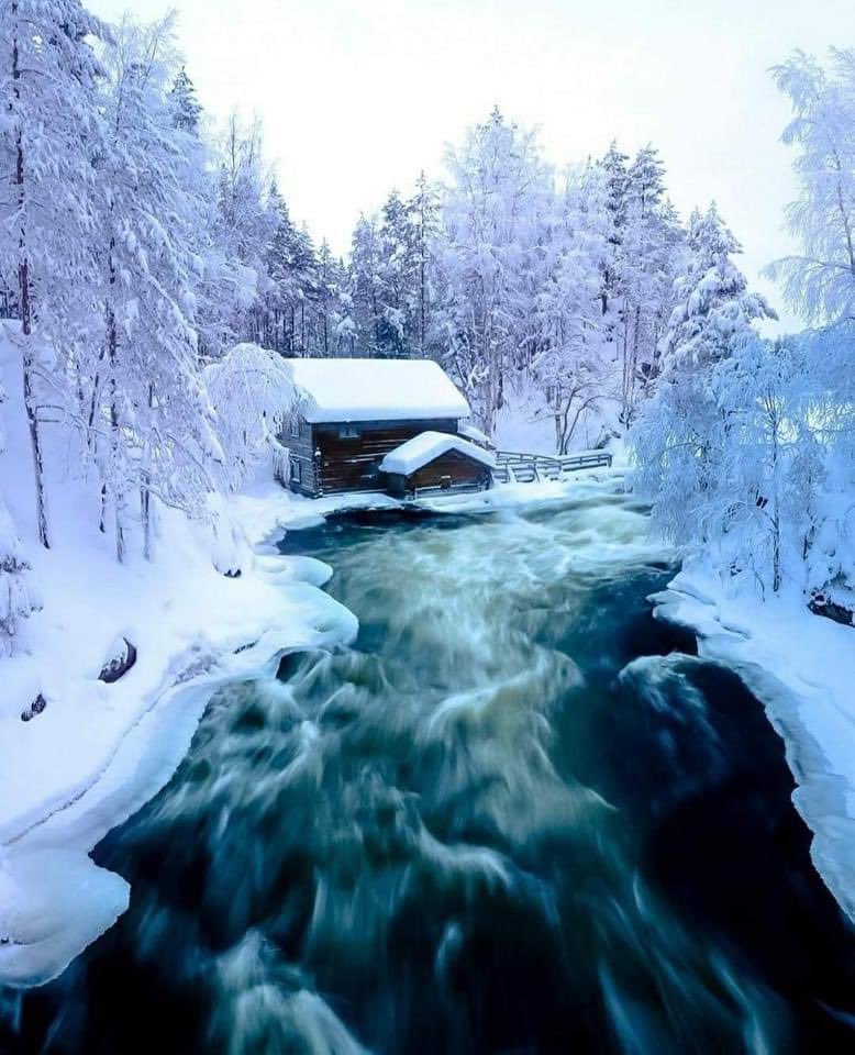 Oulanka National Park, Finland 😍

@asgleoo
#oulankanationalpark #nationalparks #finland #finlandnature #finlandia #finnland #suomi #suomifinland #lovelyterra #travel #nature #hikinglife #hiking #amazingplaces #beautifulplaces #beautifuldestinations #beautifulphoto