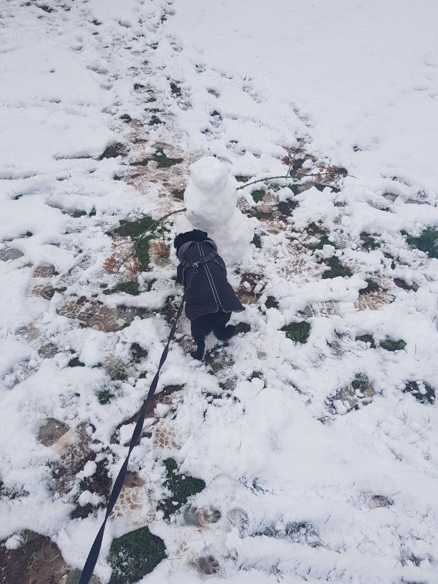 Ich hab neue Spielkameraden gefunden, aber irgendwas stimmt mit denen nicht. Die sind so passiv beim spielen.