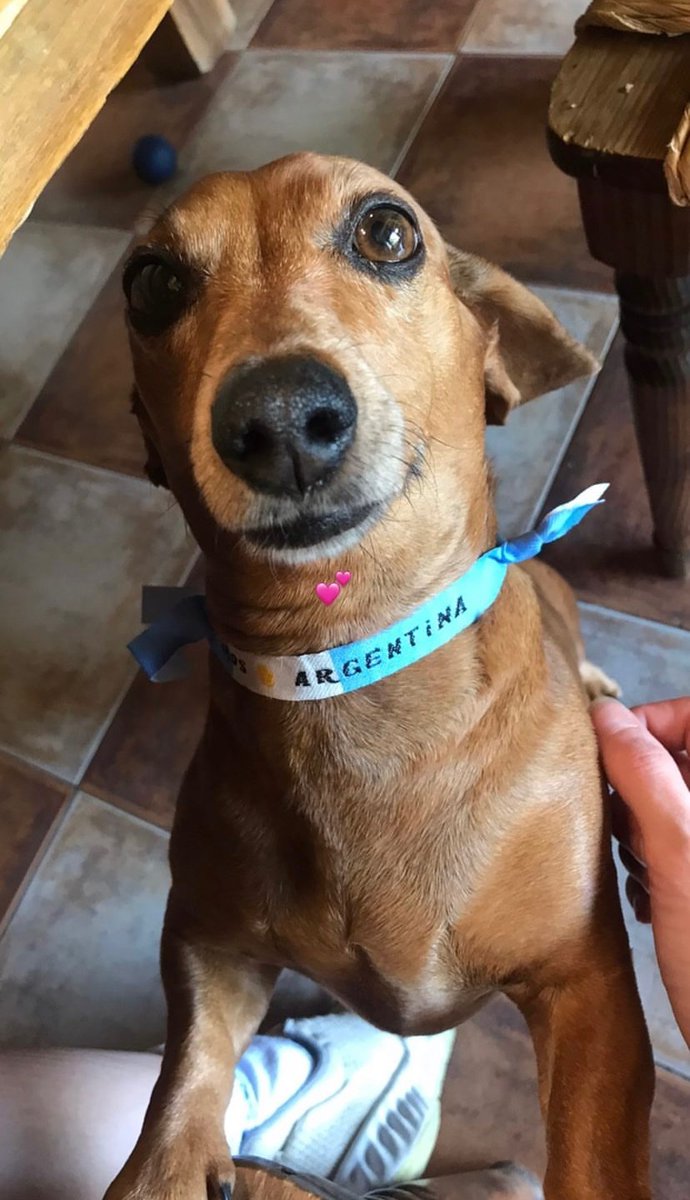 LO FELIZ QUE ME HACEN LAS MASCOTAS MUNDIALISTAS necesito ver todas
