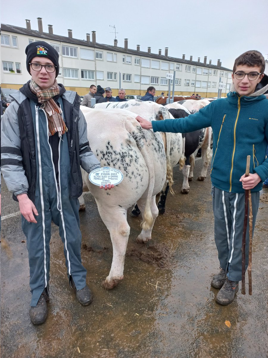 Belle récompense de notre travail et satisfaction du #concoursdenoëlévron avec un prix d'excellence et un 1er prix.<a href="/Vincenono/">Vincent NOËL</a> <a href="/TatinStephane/">STEPHANE TATIN</a>