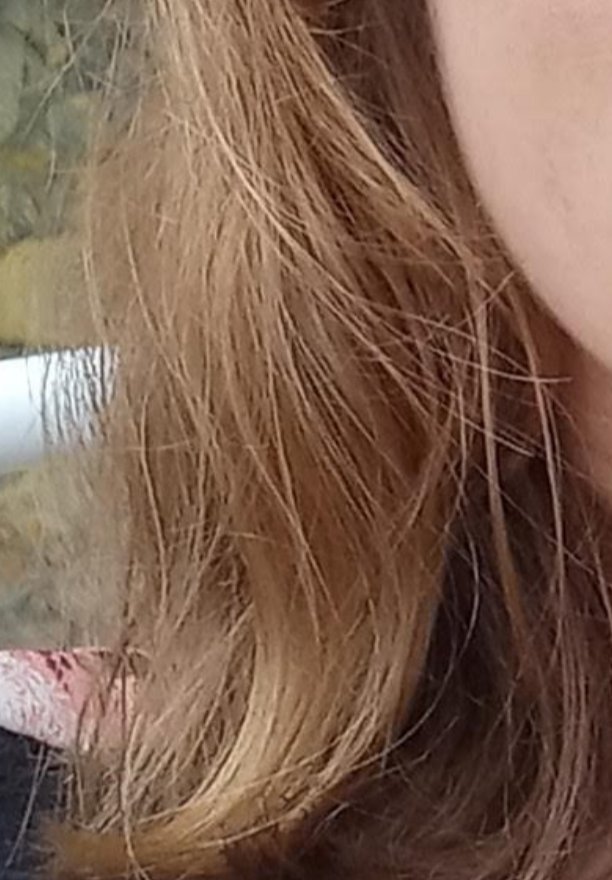 aloe 🏳️‍🌈 MOB PSYCHO 100 ❁ tweet media