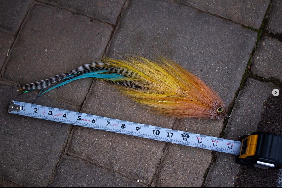Saltwateronfly's tweet photo. Absolutely Stunning! Just Beautiful
@gunnar_brammer
Have you ever taken a little too much time off from behind the vise and forgotten what “Big” is? #flytying #flyfishing #streamerjunkie #gobigorgohome #musky #muskyfly #muskyflyfishing #biggameflyfishing #bucktail #customlures https://t.co/cKVMMGkXi6