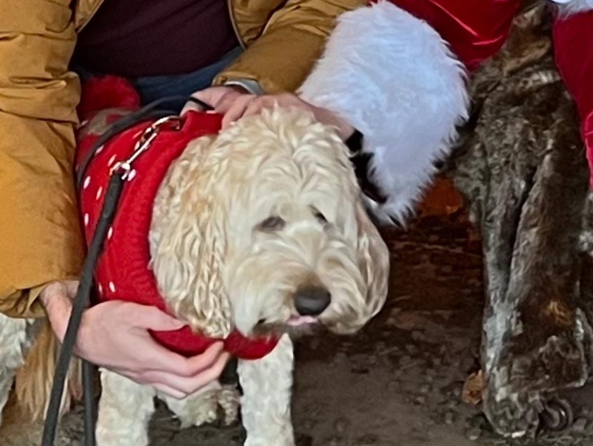 Vic_Halliday's tweet photo. He absolutely hated Santa. HATED him. #DogsofTwittter #dogswithsanta @BrodHiggins https://t.co/eVroCwJi6g