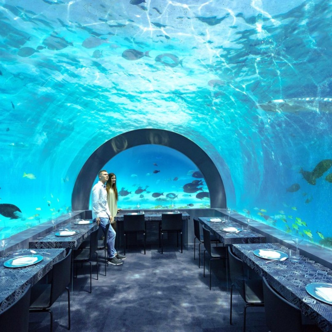 madeamanoitaly's tweet photo. H2O 👉 fully submerged underwater 💦 restaurant is ready to surprise 👀 all your senses...
#MadeTerraneo collection tiles.
@YouAndMeMaldives in Raa Atoll! (Maldive)
.
.
#youandmemaldives #maldives #malediven #maldive #madeamano #interiordesign #interiors https://t.co/jcMH1ywKou