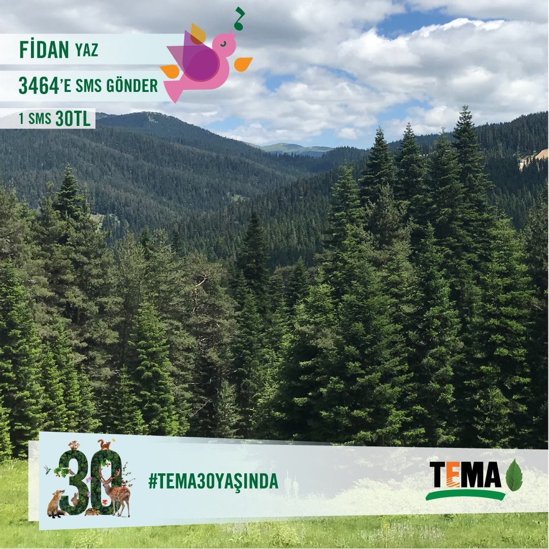 paugenctema's tweet photo. Herkesi Umut Yeşerten Şarkılar - TEMA Vakfı 30. Yıl Özel Yayını’nı izlemeye ve FİDAN yazıp, 3464'e SMS göndererek ülkemizin 7 bölgesinde oluşturulacak TEMA Vakfı 30. Yıl Hatıra Ormanları‘na destek olmaya davet ediyoruz. #TEMA30YAŞINDA

1 SMS 30 TL🌿 https://t.co/pM2xzDp9CV