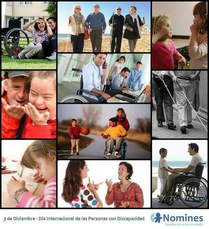 Nomines's tweet photo. 3 de Diciembre - Día Internacional de las Personas con Discapacidad.

Renovamos nuestro compromiso con la inclusión laboral de las personas con discapacidad.

(Accesibilidad visual: imagen de personas con diversas discapacidades desarrollando diferentes actividades) https://t.co/BnlYlKQsnI