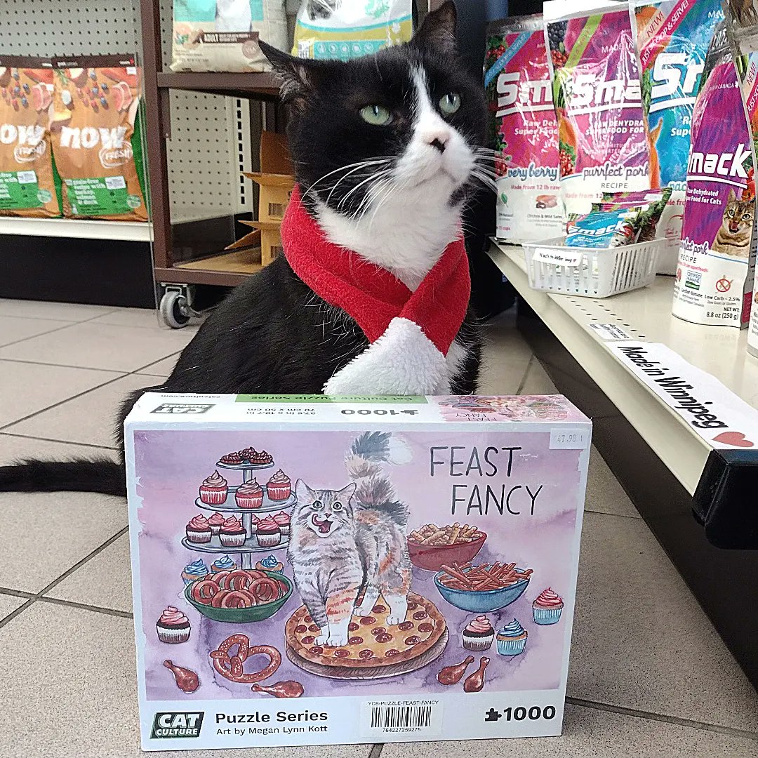 OneSpoiledKitty's tweet image. Jigsaw puzzles for cat lovers at One Spoiled Kitty in #winnipeg #catstore #onespoiledkitty