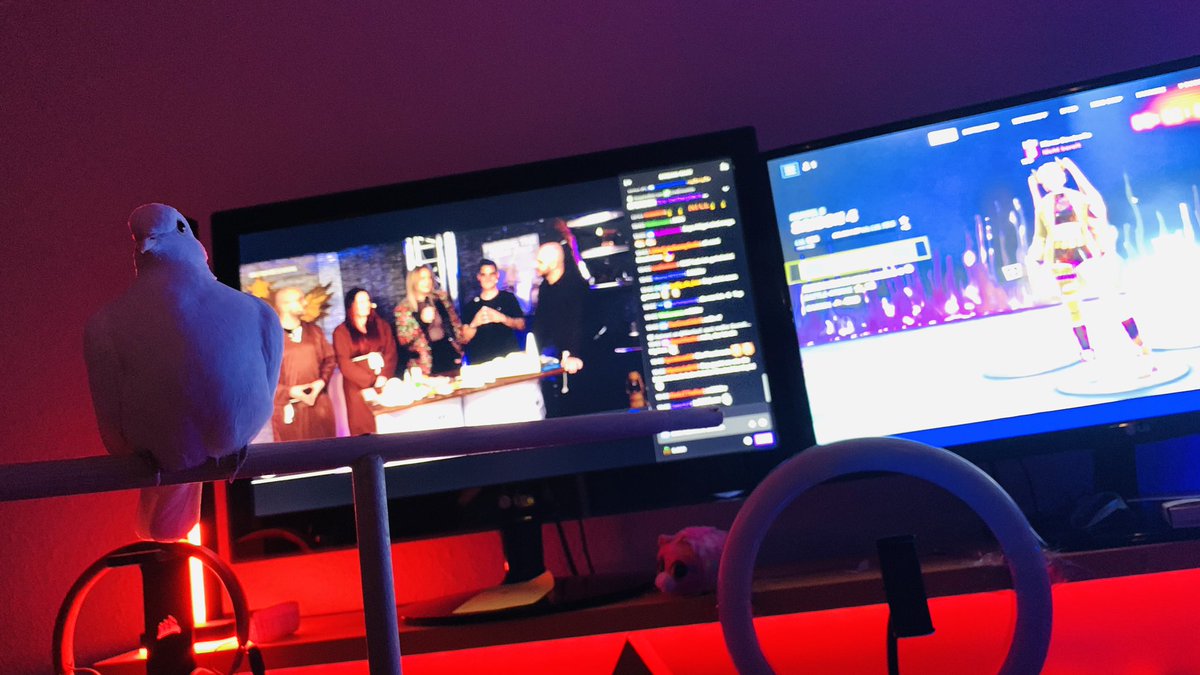 Mona_Controlla_'s tweet photo. Juri is auch bei #FriendlyFire8 mit dabei😎 #FF8 #LiveStream #dove #pigeon https://t.co/UtLv23CXiu