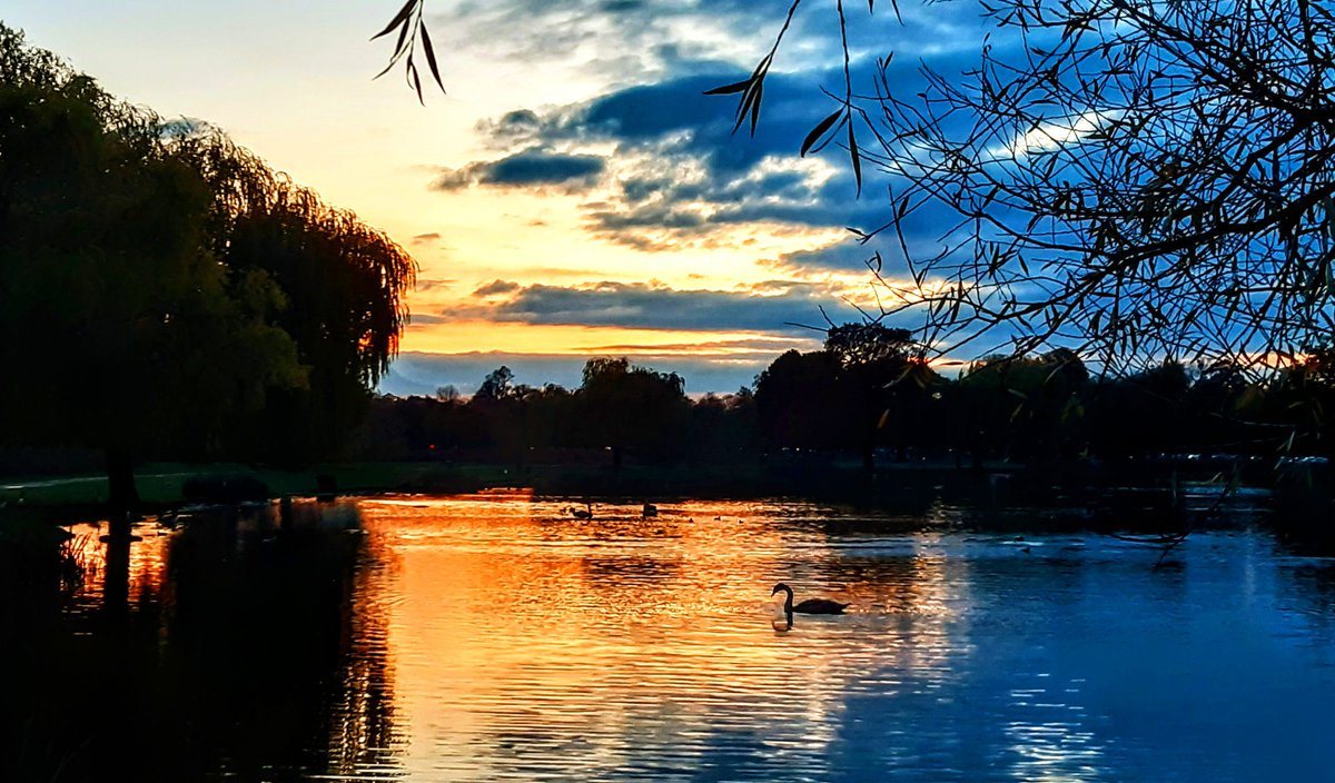 Andy Cradd ๐๐บ๐ฆ (@andycraddphotos) on Twitter photo Swanning around #bushypark #royalparks #theroyalparks #teddington #StormHour #sunset #sunsetphotography #sunsetphotography #Surrey #landscapephotography #landscape #rspb <a href="/Natures_Voice/">RSPB</a> <a href="/theroyalparks/">The Royal Parks</a> <a href="/surreylive/">SURREY LIVE NEWS</a> <a href="/SurreyLife/">Surrey Life</a> <a href="/SurreyWT/">Surrey Wildlife Trust</a> <a href="/LBRUT/">Richmond Council</a> <a href="/richmondtimes/">RTT</a> <a href="/Visit_Richmond1/">VisitRichmond</a> Swanning around #bushypark #royalparks #theroyalparks #teddington #StormHour #sunset #sunsetphotography #sunsetphotography #Surrey #landscapephotography #landscape #rspb <a href="/Natures_Voice/">RSPB</a> <a href="/theroyalparks/">The Royal Parks</a> <a href="/surreylive/">SURREY LIVE NEWS</a> <a href="/SurreyLife/">Surrey Life</a> <a href="/SurreyWT/">Surrey Wildlife Trust</a> <a href="/LBRUT/">Richmond Council</a> <a href="/richmondtimes/">RTT</a> <a href="/Visit_Richmond1/">VisitRichmond</a>