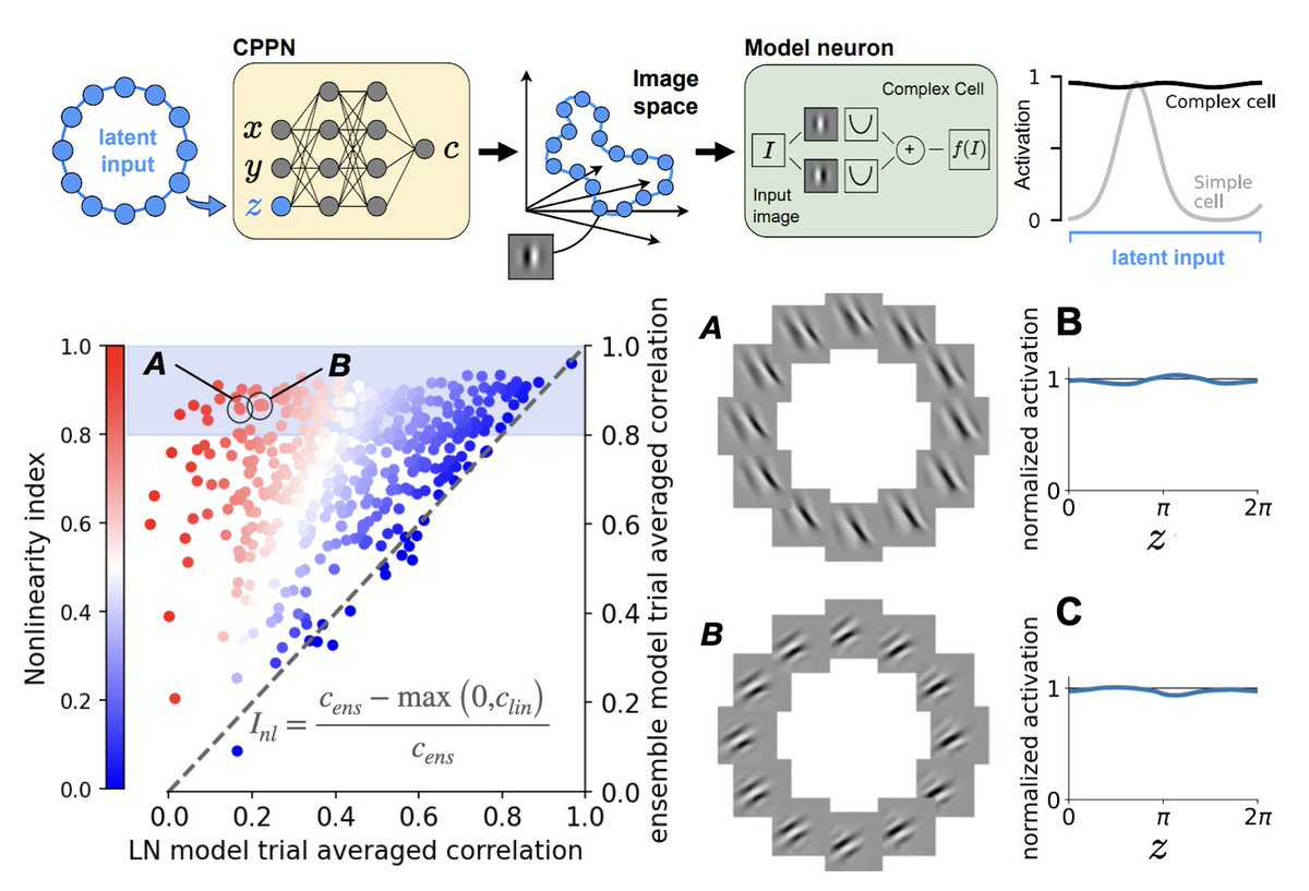 LuchinoBaroni's tweet image. How can we identify what are the invariances that biological neurons encode for?  Check out my work with 
@neuralbash. @AntolikLab and @sinzlab &quot;Learning invariance manifolds of visual sensory neurons&quot; openreview.net/pdf?id=2dQyENi…

It&apos;s also at @neur_reps, poster session at 3:30pm!