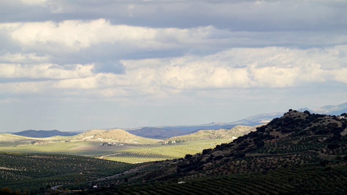 jgovi72's tweet photo. Desde la #ViaverdeAceite #DoñaMencia camino de #Zuheros , asi se ve la campiña cordobesa esta tarde con esas amenazantes nubes que al final no descargaron nada @MeteoCanalSur https://t.co/ly9bzEYms5