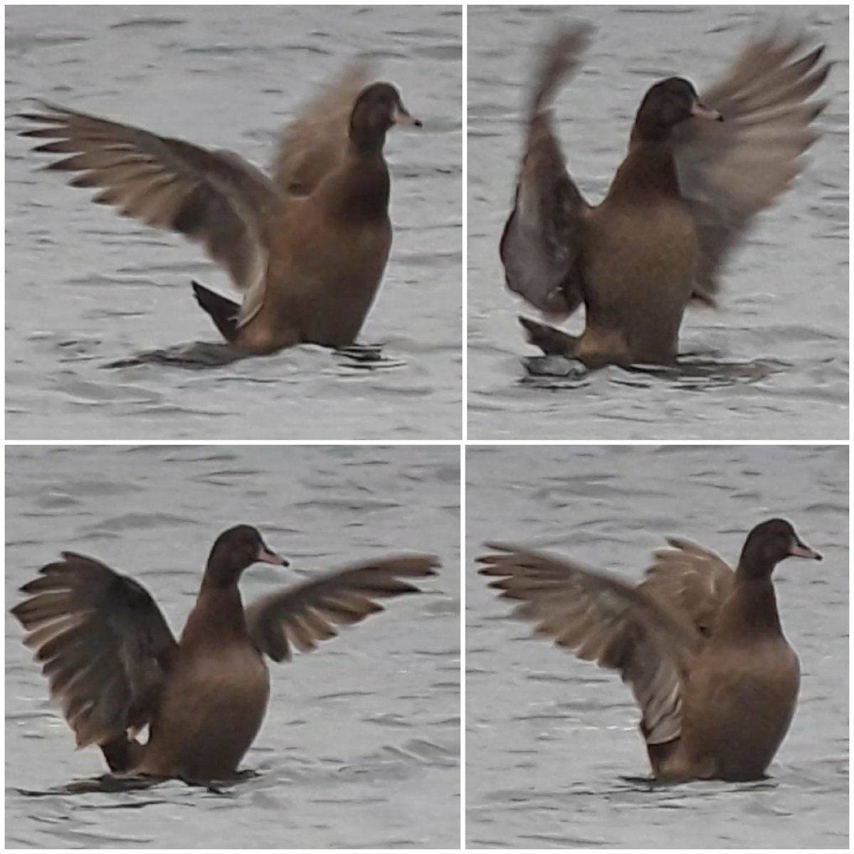 Andy Warr tweet media