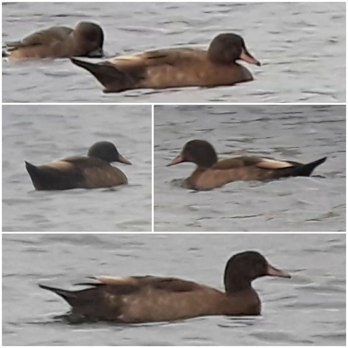 Andy Warr tweet media