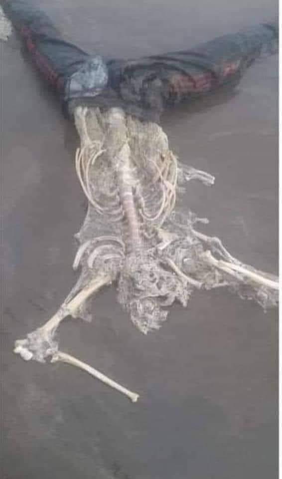 A man's body rots before a pant worth only 200 rupees rots
The pride of money, the grip of power, what is so proud! All wealth lies on earth, not only the proud
Arrogance obeys the Creator, not the creature
May Allah guide us all