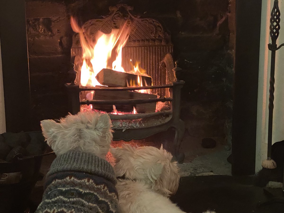 One of the Family tweet media