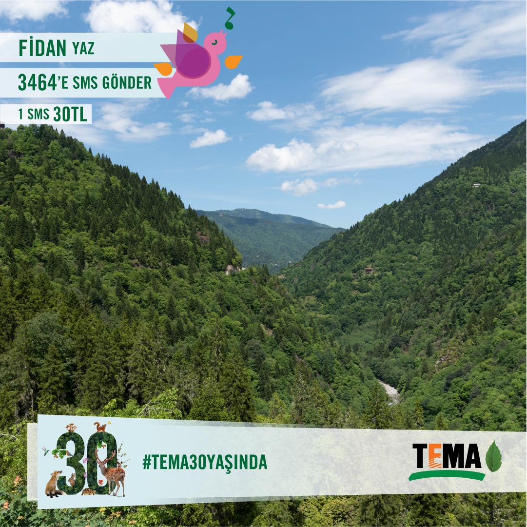 temaerzincan's tweet photo. Yaprak Dedemiz A. Nihat Gökyiğit ve Toprak Dedemiz merhum Hayrettin Karaca’nın 1992 yılında çıktığı yolda, 30 yıldır “Yaşam” için çalışıyoruz.

Sen de FİDAN yaz, 3464'e SMS gönder, TEMA Vakfı 30. Yıl Hatıra Ormanları’nda senin de fidanın olsun. #TEMA30YAŞINDA https://t.co/7kIKyxsUMx