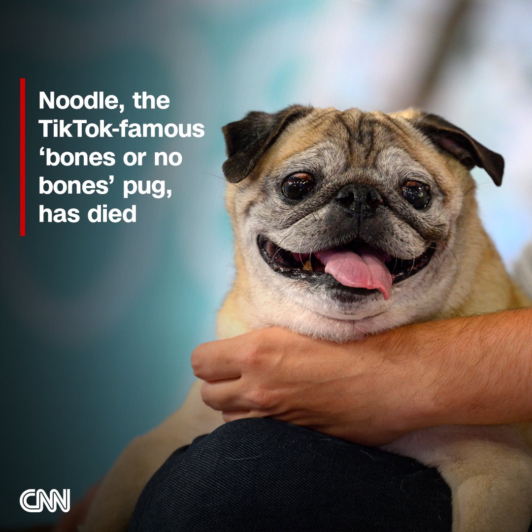 CNN on Twitter: CNN on Twitter: