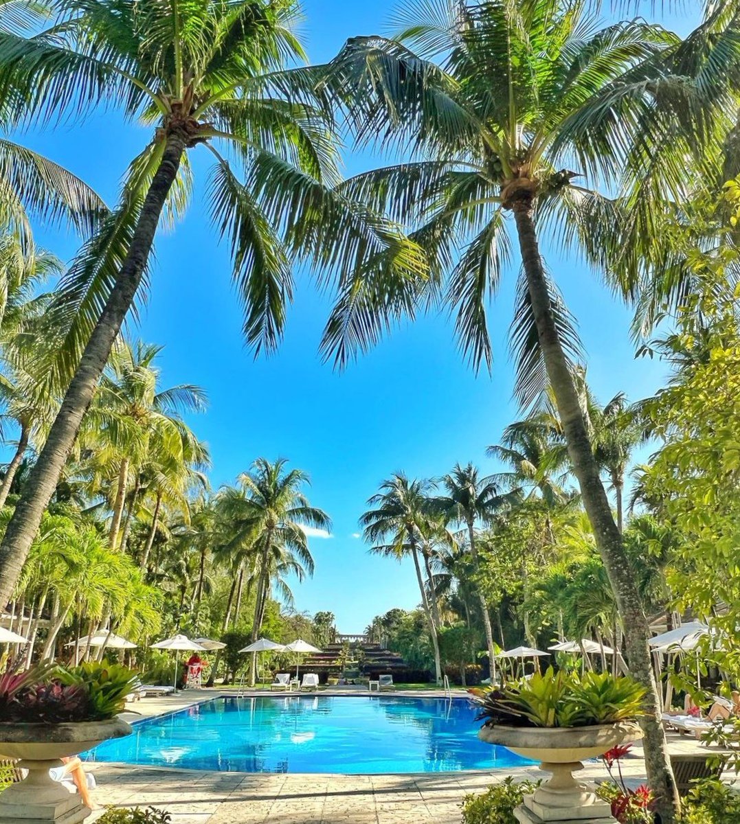 Nassau_Bahamas's tweet photo. Meet me at the pool. 🌺 

📷: silebut https://t.co/XWSxDAMsv3