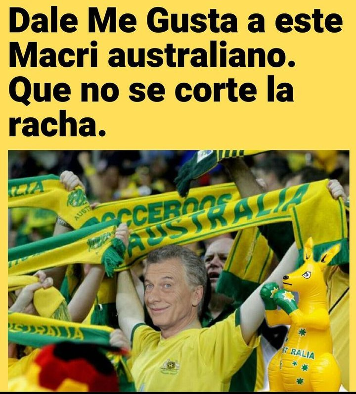 Un Carpincho (@singlobosnigato) on Twitter photo 