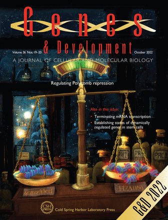 Beat Fierz tweet media