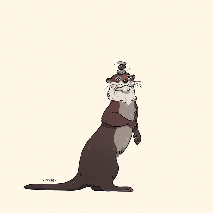 A small otter tonight!  