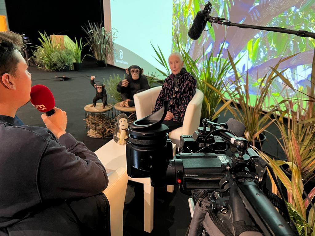 Maarten Knuts (@maartenknuts) on Twitter photo Jane Goodall - Brits milieuactiviste - is dit weekend in het land. Ik mocht ze gisteren interviewen voor <a href="/VTMNIEUWS/">VTM NIEUWS</a>. En ze had een boodschap voor de wereld: “Don’t lose hope” Jane Goodall - Brits milieuactiviste - is dit weekend in het land. Ik mocht ze gisteren interviewen voor <a href="/VTMNIEUWS/">VTM NIEUWS</a>. En ze had een boodschap voor de wereld: “Don’t lose hope”