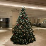 ツイートに含まれる画像