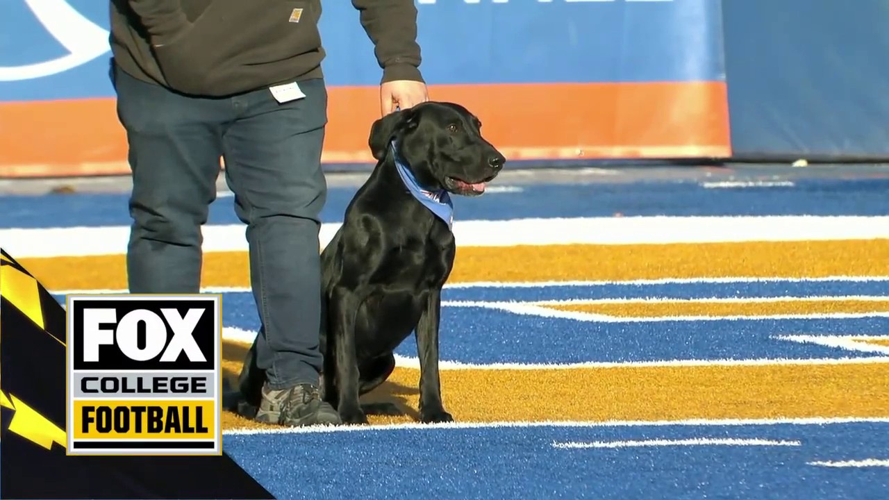 Juice Kiffin (JuiceKiffin) / Twitter