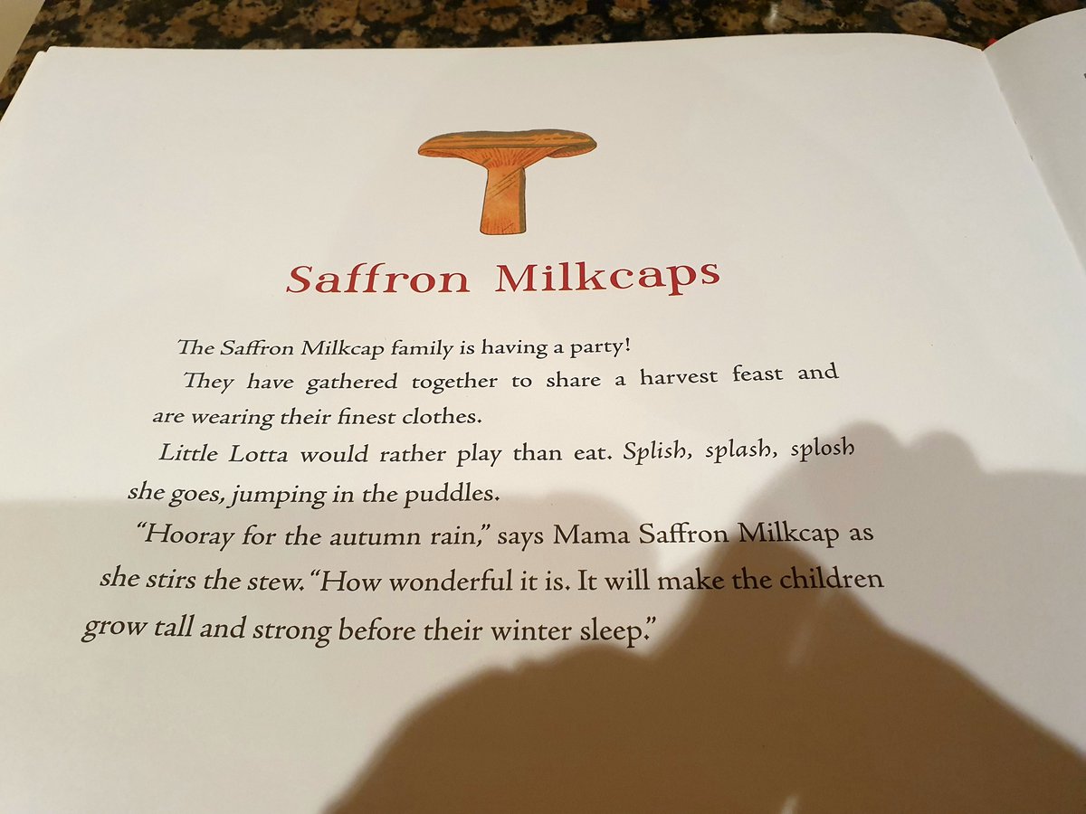 HeeransTweets's tweet photo. @Logicaphoto @WildlifeTrusts Is it a Saffron Milkcap? Unconventional source for suggestion - the delightful 1909 "Tales of the Mushroom Folk" by Signe Aspelin, Swedish children's illustrator. Here are the Saffron Milkcap family going about their day in the meadow. Just wonderful! https://t.co/oUs0reEryC