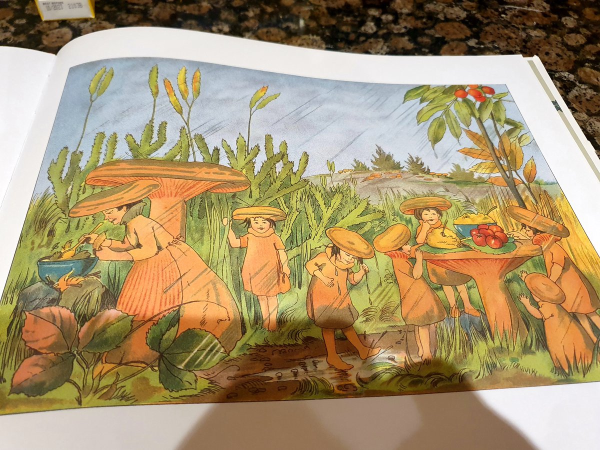 HeeransTweets's tweet photo. @Logicaphoto @WildlifeTrusts Is it a Saffron Milkcap? Unconventional source for suggestion - the delightful 1909 "Tales of the Mushroom Folk" by Signe Aspelin, Swedish children's illustrator. Here are the Saffron Milkcap family going about their day in the meadow. Just wonderful! https://t.co/oUs0reEryC