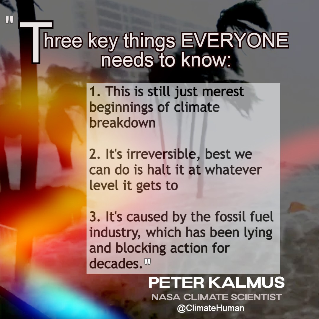 CodeRedEarth's tweet photo. 3 things 
1/ still just merest beginnings #ClimateEmergency
2/It's irreversible 
3/Caused by the #FossilFuel industry lying and blocking action for decades
Meme quote @ClimateHuman https://t.co/ars748WAVK