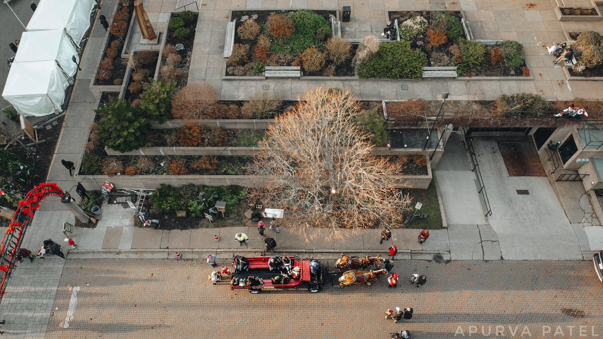 Glimpses of the Victorian Christmas Market in Charlottetown ☀️ 🎄

<a href="/tourismpei/">TourismPEI</a> <a href="/CharlottetownPE/">Discover Charlottetown</a> 
#explorepei #cbcpei #pei #princeedwardisland #canada #explorecanada #imagesofcanada #travel #travelphotography #cangeotravel #heartsofcanada #discovercharlottetown #charlottetown