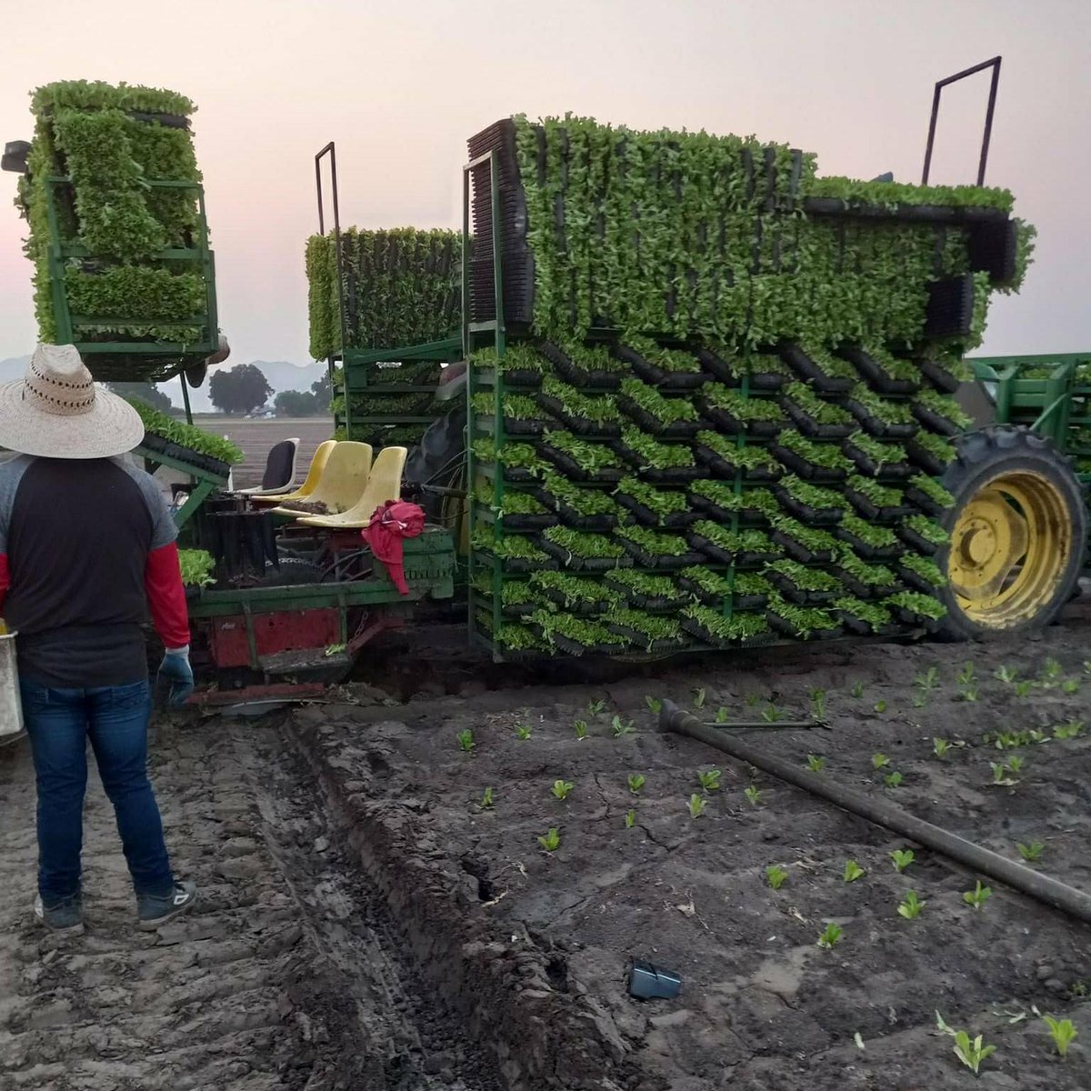 United Farm Workers on Twitter "Guadalupe shared this picture of the