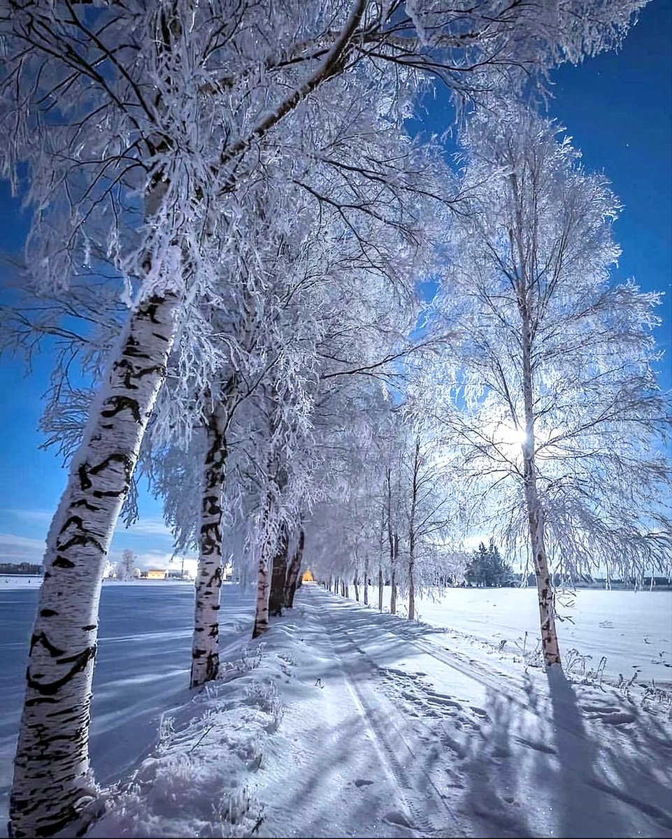 DreamLandPage's tweet photo. 🌡🌫🌟Dream winter view🌸☃️ https://t.co/xv7rHxucOI