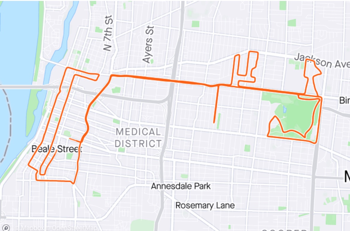 supplyissues's tweet image. St Jude marathon today. Brutal but super fun @runningpunks