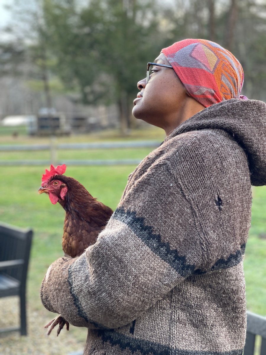 Just a peaceful moment with Marilyn, one of our senior chickens. 
#Advent #Retreat #farmlife #chickensofinstagram