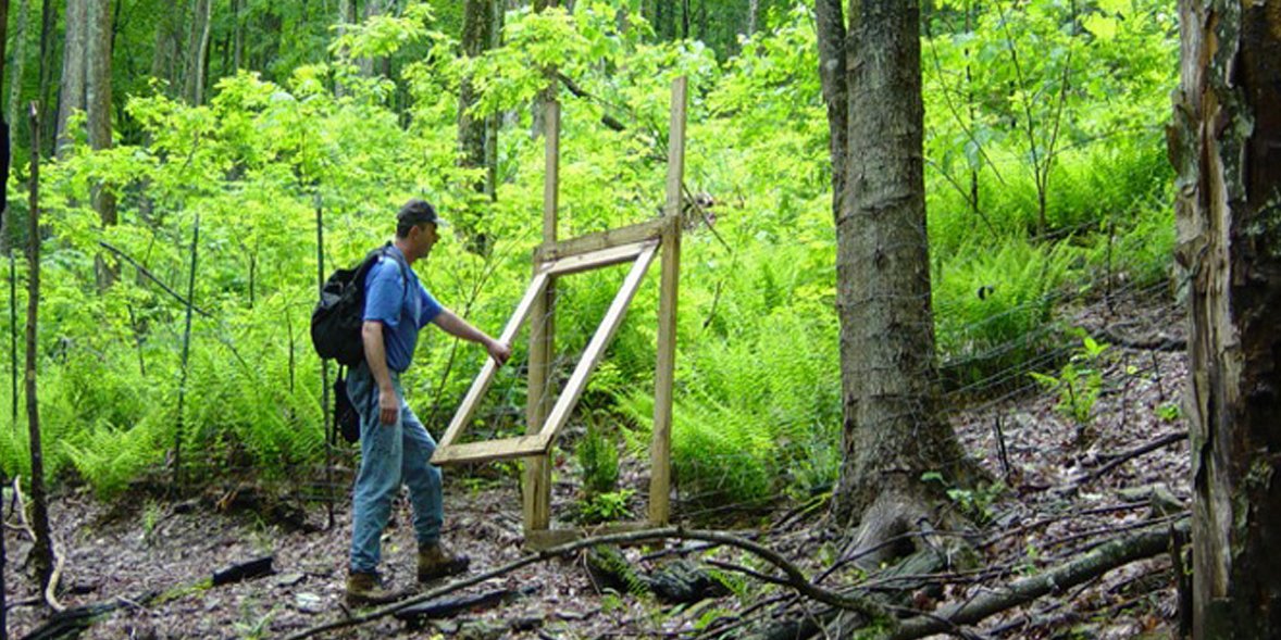 Our next lunchtime science talk is Monday, December 5 at noon! Join us online or at the museum to hear Walter Carson's talk “Biodiversity Collapse and the Future of the Eastern Deciduous Forest Biome of North America.” Register today: fal.cn/3u963