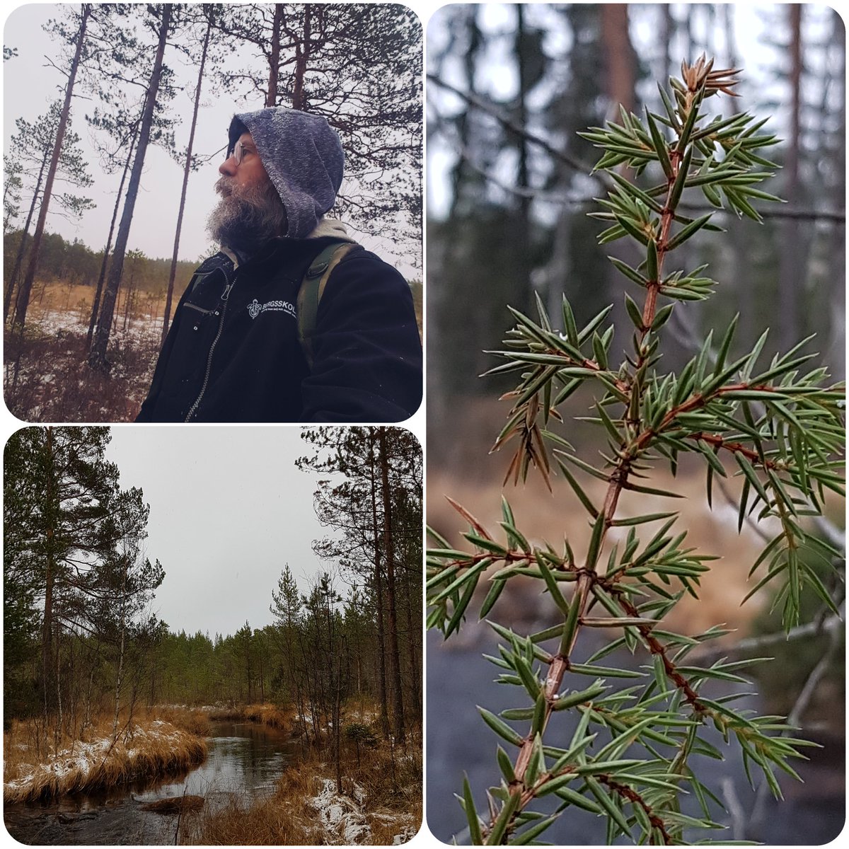 anderssonPhD's tweet image. Vi bryr oss inte längre om vår Mor.
Vi har glömt vilka vi är.
Jag och mina barn försöker att väcka liv i vättestenarna och älvkällorna, men det kan vara för sent. Vi hoppas på er vetenskapskvinnor, att ni ska finna sanningen; att vi ÄR naturen. #stopconsuming
#becomevegan