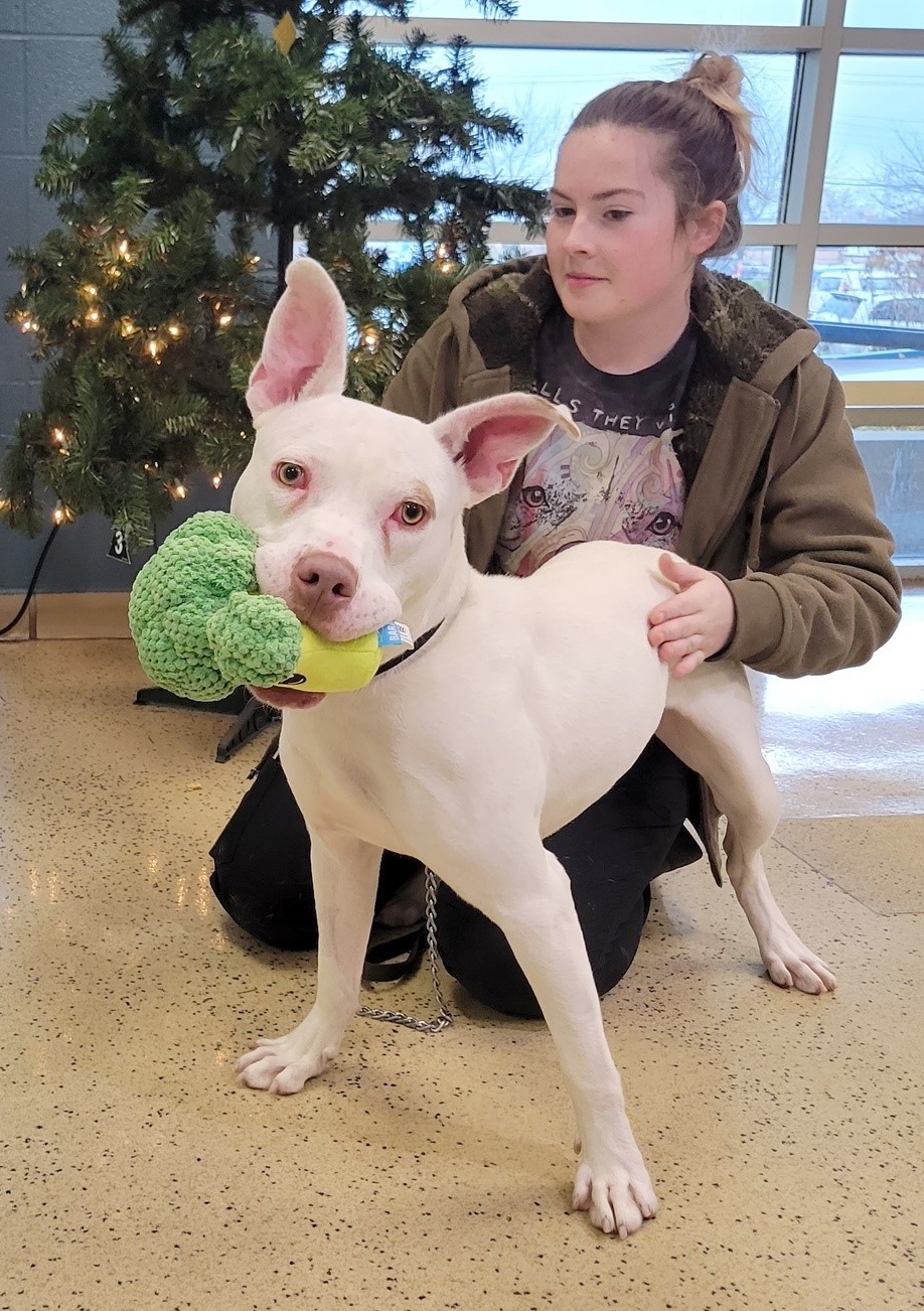 Humane Society of Missouri on Twitter "Tim Burton is ready for the