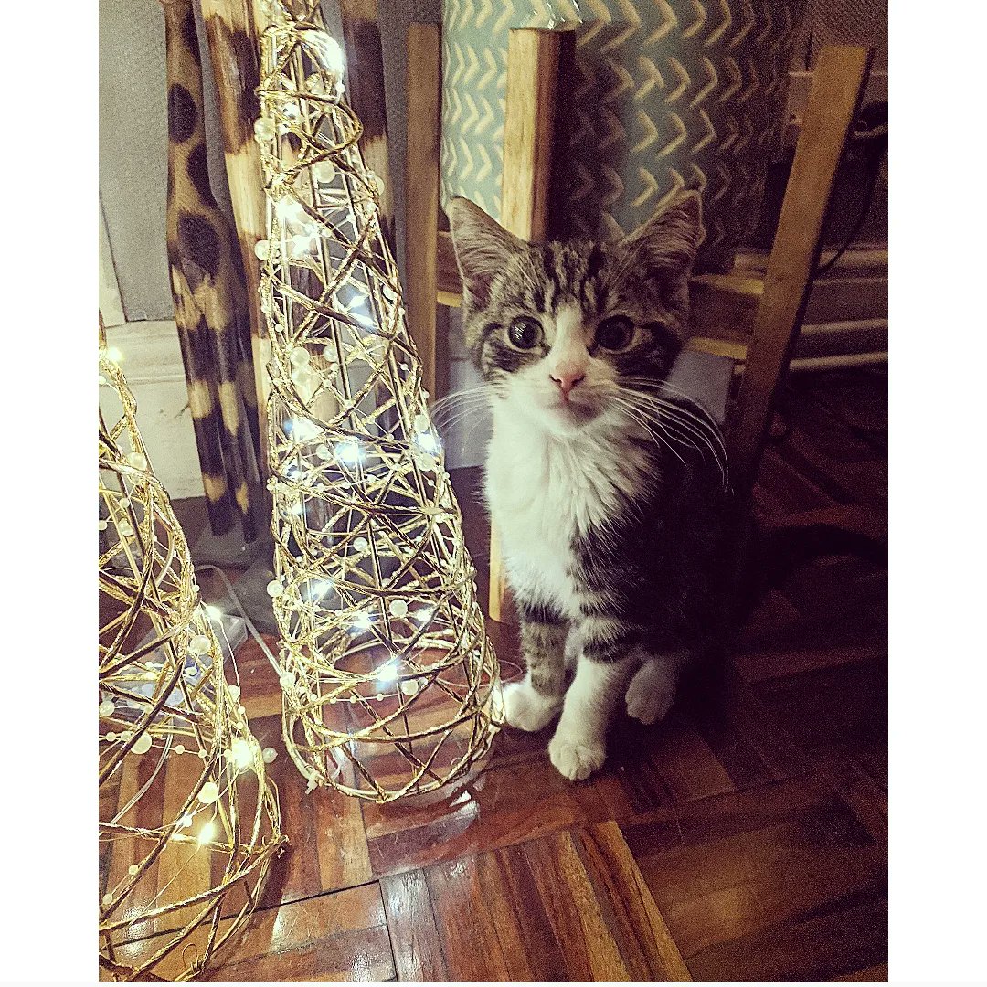 ℍannah. tweet media