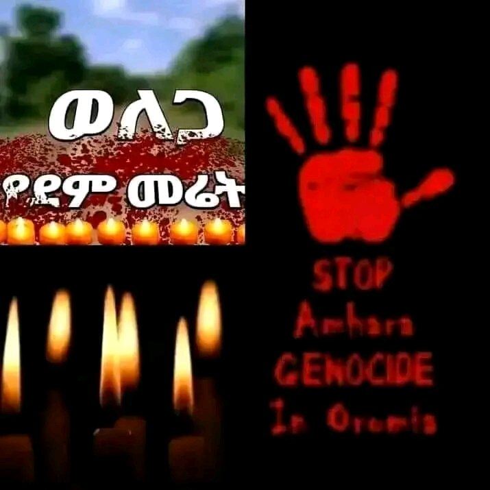 ዛሬም በወለጋ ንፁሃን እየተገደሉ ነው። 
መንግስት የአማራ ንፁሃን ለስንተኛ ጊዜ ሲጨፈጨፉ ነው በቃ የሚለው?እርምጃስ የማይወስድበት ምክንያት ምንድነው? ኧረ የህግ ያለህ😭😭😭ኧረ የመንግስት ያለህ😭😭😭  ነፍሳችሁን ይማር ወገኖቼ😭
<a href="/AbiyAhmedAli/">Abiy Ahmed Ali 🇪🇹</a>